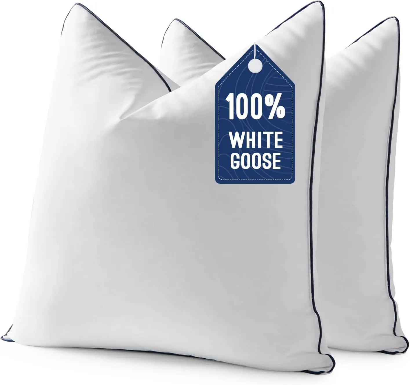 Goose Feather Down Euro Pillow Set (2-Pack)