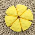 Cheese Squishy Toy