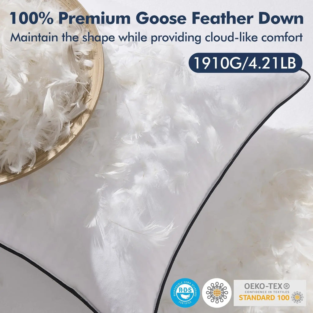 Goose Feather Down Euro Pillow Set (2-Pack)