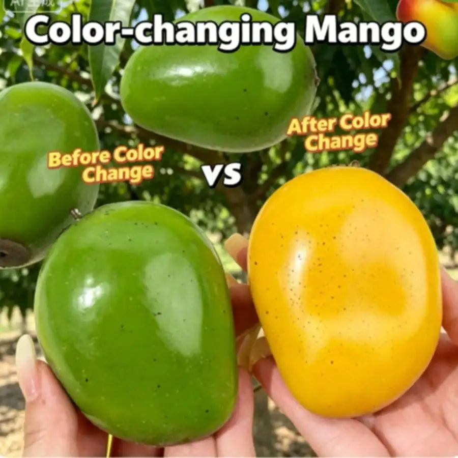Color-Changing Mango Squishy (Heat Reactive)
