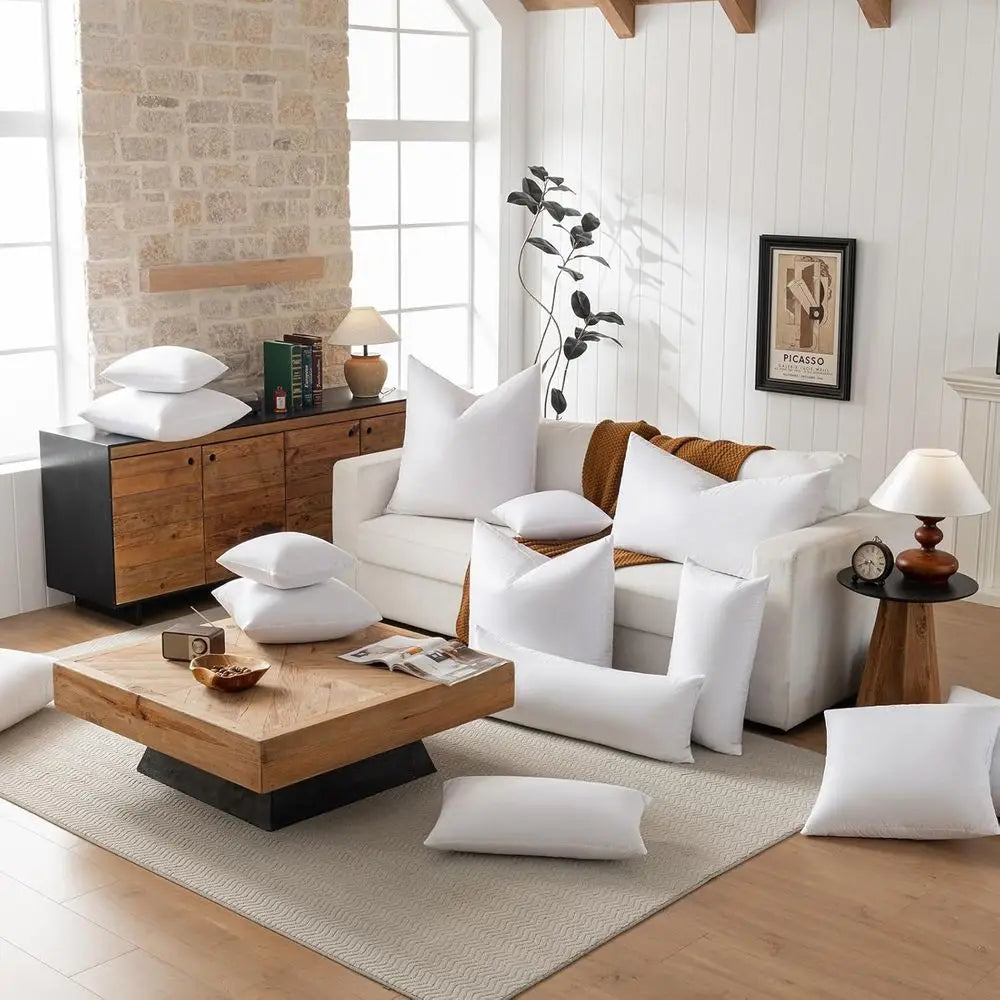 Luxury Goose Down Euro Pillow