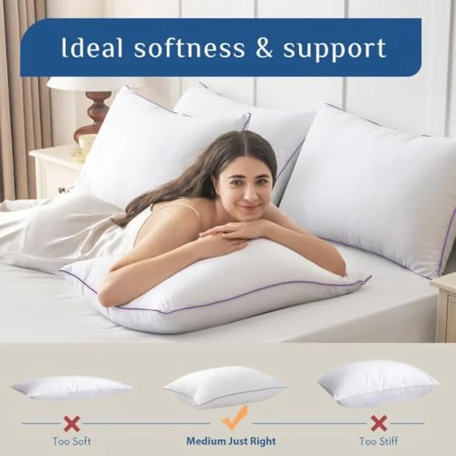 Down Alternative Pillow Set (2-Pack)