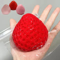 Big Strawberry Squishy Toy